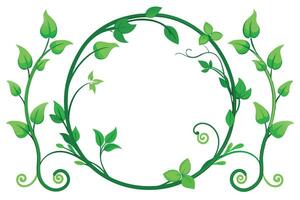 Green Vines and Leaves Circle Isolated on White Background, Nature Element vector