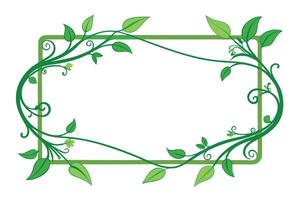 Green Botanical Frame, Vine Border with Leaves and Swirls, White Background, Nature vector