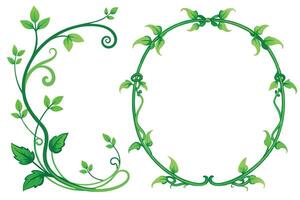 Green Vine Foliage Border with Circle and Curved Stem Design on White Background vector