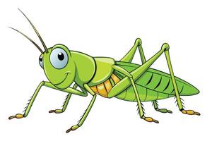 Cartoon Style Green Grasshopper With Big Eyes on Isolated White Background vector