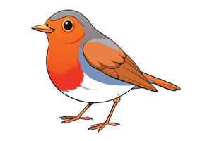 Cartoon Style Robin Bird On Transparent Background Isolated Design vector