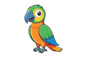 Cartoon Macaw Bird Colorful Feathers Standing on White Background vector