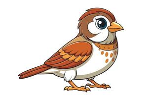 Cartoon Sparrow of a Brown and White Bird Isolated on Transparent Background vector