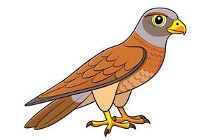 Cartoon of Standing Brown Falcon with Transparent Background Isolated vector