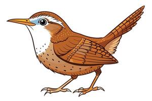 Wren with Brown Feathers, Transparent Background Bird Design vector