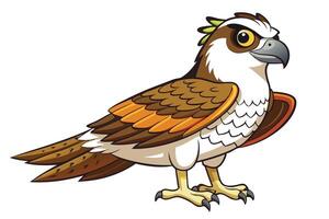 Osprey Cartoon With Orange And Brown Wings On Transparent Background vector