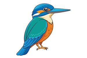Standing Colorful Kingfisher Bird on Transparent Background vector