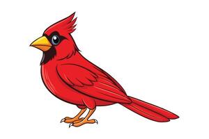 Cartoon Red Cardinal Bird on White Background Design Element vector