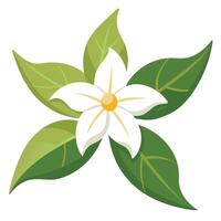 Simple White Flower with Green Leaves Flat on Transparent Background vector