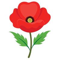 Simple Flat of a Poppy Flower with Leaves on White Background vector