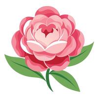 Isolated Pink Rose with Green Leaves on a White Background Modern Flat Design vector