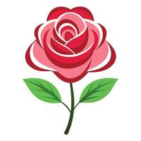 Stylized Pink Rose with Green Leaves on a Transparent Background vector