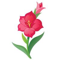 Elegant Red Gladiolus Flower with Yellow Stamen on a White Background vector