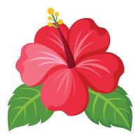 Isolated Red Hibiscus Flower with Green Leaves on Transparent Background vector