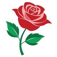 Isolated Red Rose with Green Leaves on Transparent Background vector
