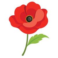 Isolated Flat Red Poppy Flower with Green Stem and Leaf on White Background vector
