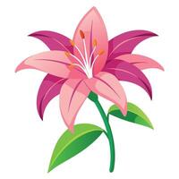 Isolated Lily Flower on Stem with Leaves on a White Background Design vector