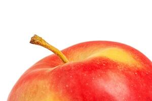 Macro photo of the top of a red and yellow apple isolated on a white background.