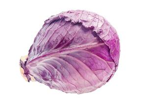 Ripe red cabbage on white background photo