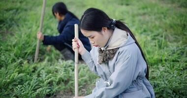 Handheld selective focus shot, Two Asian gardeners chatting happily while using a shovel to weed watermelon fields in the cold morning air. Winter activity. video