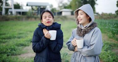 Handheld selective focus shot, Two Asian female standing talking in a garden holding cups of coffee and enjoying the view in front of them on a cold morning. Winter activities. video