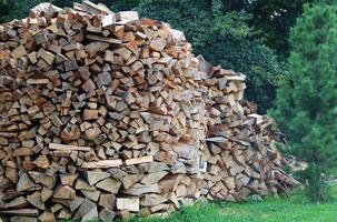 Stacking Of Chopped Firewood In Round Piles photo