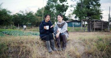 Handheld wide view, Two Asian women are sitting in a garden holding a coffee cup and enjoying the view in front of them on a cold morning. Winter activity. video