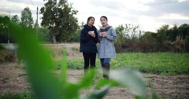 Handheld wide view, Two Asian women in warm clothing stand talking and holding hot drinks in the cold morning atmosphere. video