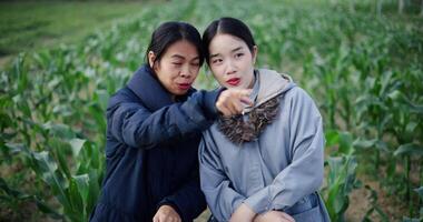 Handheld high angle view shot, Two Asian women standing talking in a cornfield and enjoying the view in front of them on a cold morning. Winter activity. video
