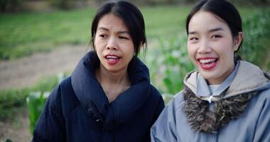 Handheld shot, Two Asian gardeners standing talking in a cornfield and enjoying the view in front of them on a cold morning. Winter activity. video