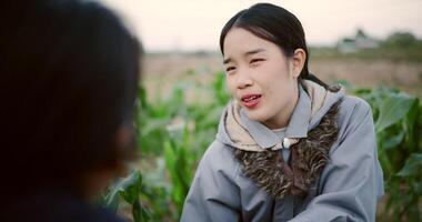 Two Asian female farmers talk while pulling weeds from a corn field in the cold morning air. video