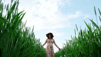 Pregnant girl walking in a wheat field 8 video