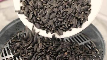 Sunflower seeds peeled at the factory 2 video