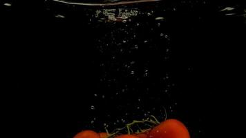 A tomats falling into water on black background. Bright high quality 3 video