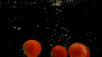 A tomats falling into water on black background. Bright high quality 2 video