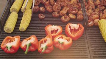 the cook with forceps transfers the grilled vegetables video