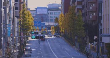 A footage of vehicles and traffic lights at the gingko tree street in Autumn telephoto shot video