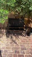 A wicker chair made of branches stands in the shade under a tree in summer for resting video