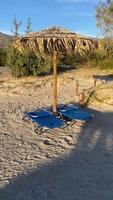 Beach chairs standing under a wood umbrella on an island beach on a sunny day in summer video