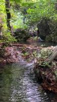A stream flows through a gorge, a river in the woods and an island video