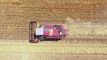 red harvester Operating in agricultural field, directly above Aerial view 2 video