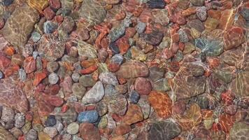 colorful round pebble at the beach lit by sun light through thin layer of water with mild surf waves, closeup full-frame background video