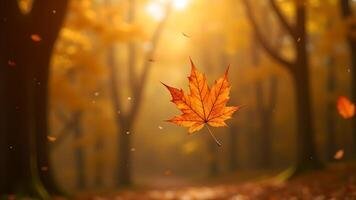 An orange maple leaf floating in the air in a forest photo