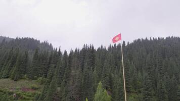 pine forest on mountain slopes with flag of Kyrgyzstan at rain video