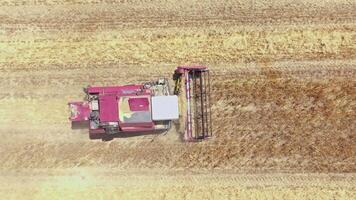 red harvester Operating in agricultural field, directly above Aerial view. video