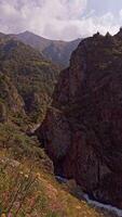 Experience the stunning and majestic beauty of a Mountain Canyon alongside a Scenic River View. video
