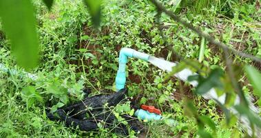 a pipe is in the grass next to a tree video