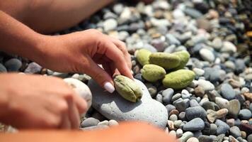 Beach Stones Hand. Person sorts pebbles on a sunny beach to collect beautiful rocks for souvenir. video