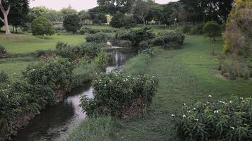 Narrow Stream Between Lush Fields With Trees At Bishan Park In Singapore. video