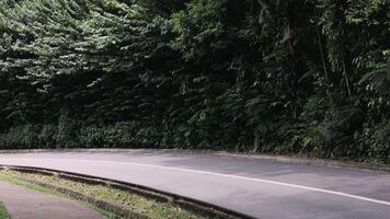 empty tropical road full of greenery video